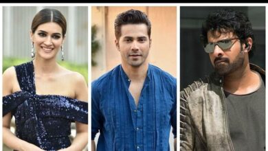 Kriti Sanon revealed why Varun Dhawan started a rumour about her affair with Adipurush actor Prabhas