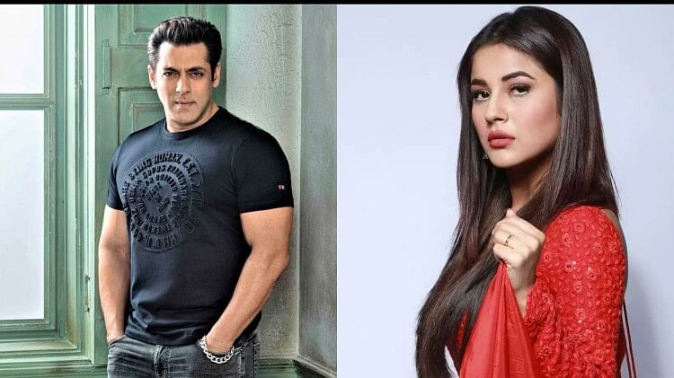 Kisi ka bhai kisi ki jaan actor salman khan brutally trolled by sidnaaz fans advising shehnaaz gill move on