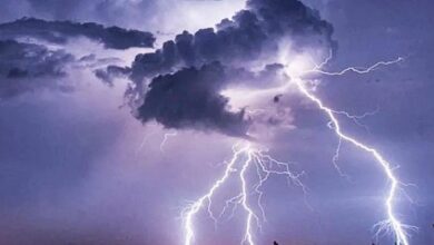 Eight killed in lightning strikes in West Bengal latest news in hindi