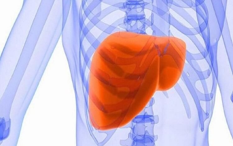 World Liver Day, Two lakh liver transplants are needed in a year 2000 are happening be alert
