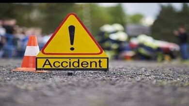 maharashtra road accident killed four people 150 sheeps