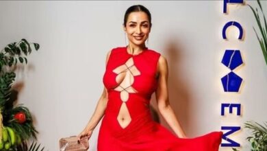 Malaika Arora Get Annoyed By Photographer As He Almost Bumped Into Her With Camera