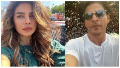 Priyanka Chopra Comment On shahrukh Khan statement Working in Hollywood said Comfortable is boring