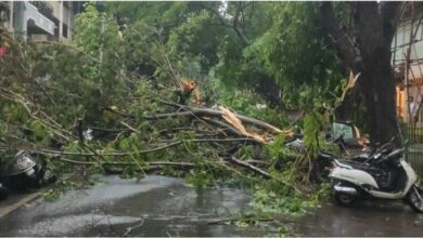 Weather Updates Heavy rain and hailstorm lashed Bengaluru city Karnataka IMD Latest News In Hindi