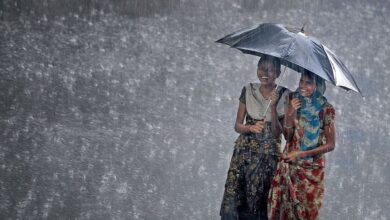 Weather Update monsoon advances in India rain likely in most parts of country from June 15