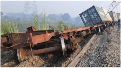 A goods train derailed between Thadi and Ankapalle today morning in Andhra Pradesh