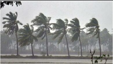 Cyclone Biparjoy Live Updates Cyclone Tracker IMD Alert Extremely Severe Storm To Hit Gujarat