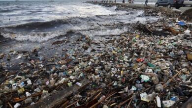 World Environment Day: Nature is returning what humans are giving, plastic reaching our blood