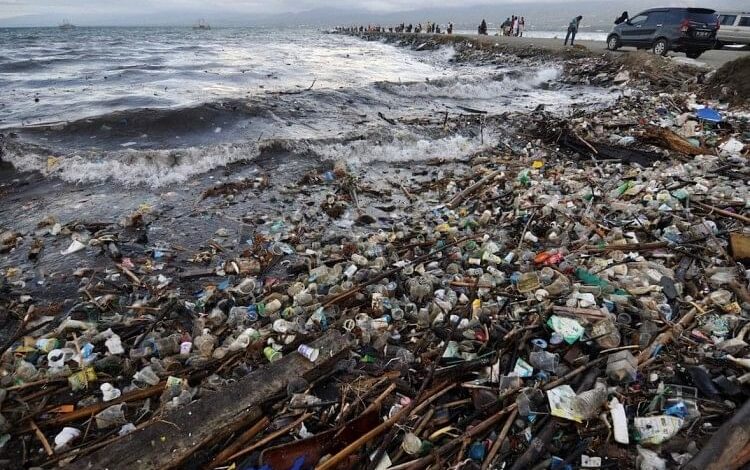 World Environment Day: Nature is returning what humans are giving, plastic reaching our blood