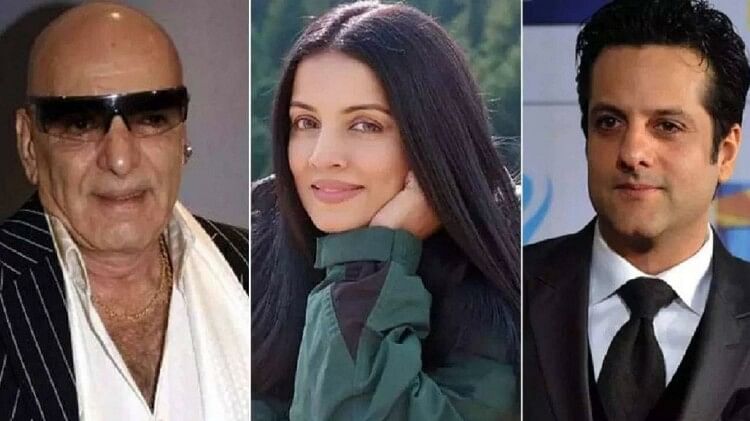 Celina Jaitley take Action Pak journalist who accused her of sleeping with Feroz Khan and Fardeen Khan