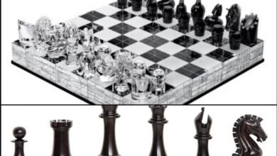 Chess: Triveni Continental Kings won the title of the first Global Chess League, Jonas Zair won Sudden Death