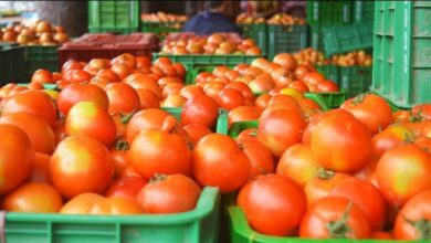 tomatoes robbery in bengaluru worth two lakh include vehicle