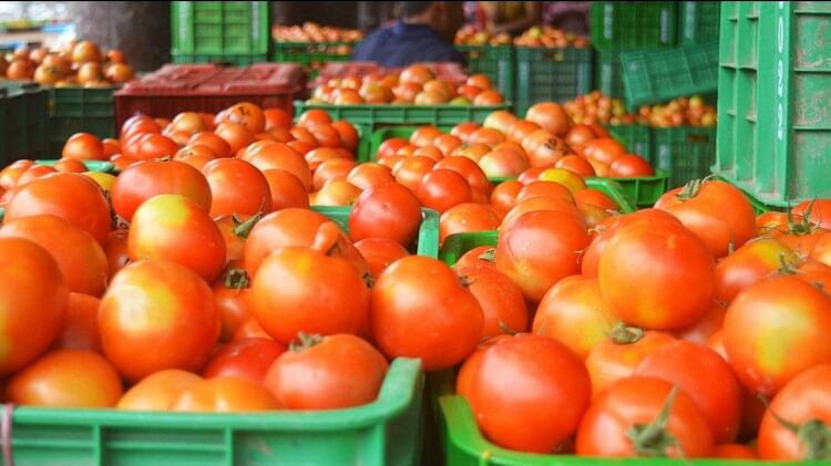 tomatoes robbery in bengaluru worth two lakh include vehicle