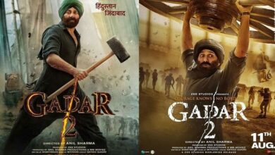 Gadar 2 Box office collection day 14 earns more than pathaan in second week Dream girl 2 jawan competition